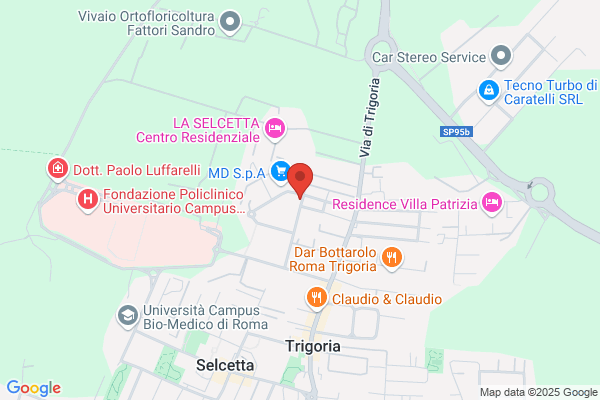 T.M. Noleggio Auto