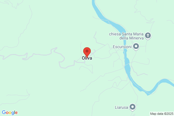 Oliva santo (Rag.)