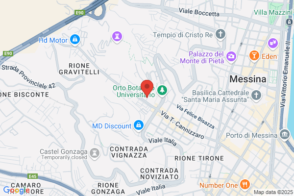 Miceli cinzia (Avv.)