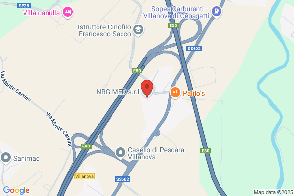 Gestetner Divisione Della Nrg Italia Spa