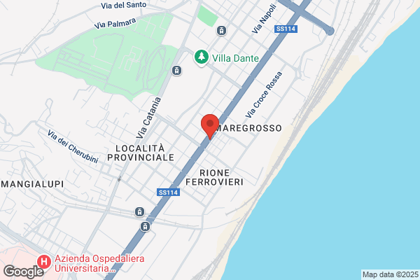 Selvaggio domenico