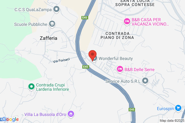 Asilo Il Regno di Simba