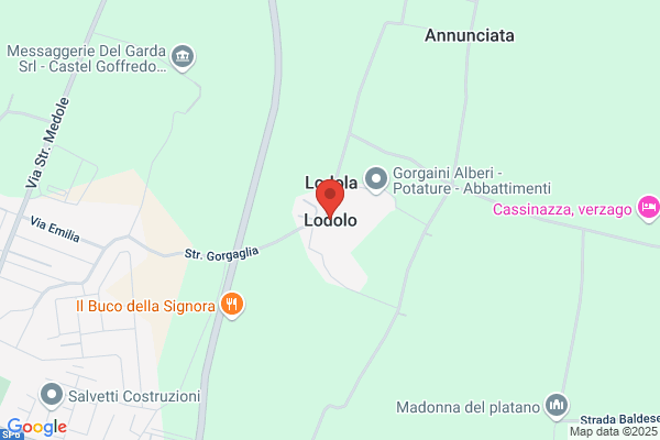 Lodolo manlio (Arch.)