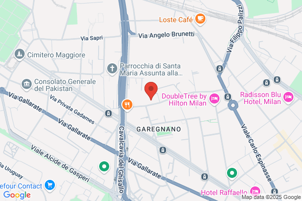 Elettronica Service Milano