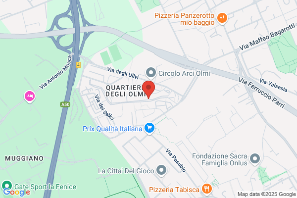 Elettro Olmi