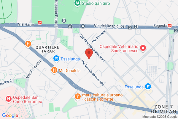 Scuole Pubbliche/Scuole Elementari