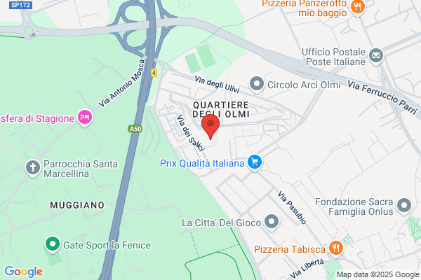 Scuole Pubbliche/Scuole Elementari