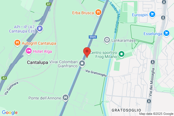 Inga Sas Di Domenico Inga E C.