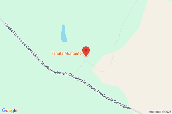 Montauto stefano