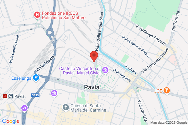Pavia vito