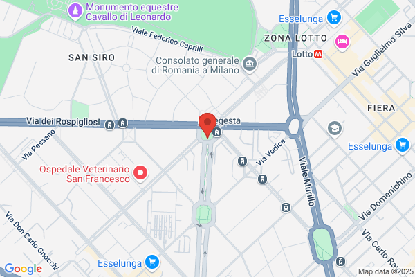 Segesta Srl