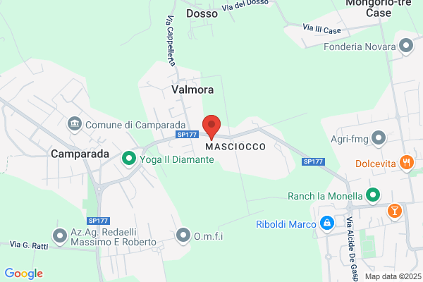 Palestra Athena Di Bigi Sylva