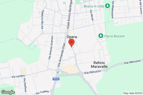 Optical Service (S.R.L.)