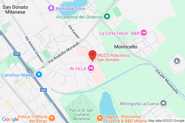 Istituto Policlinico San Donato S.P.A.