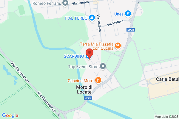 Scardino gino