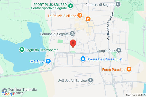 Ls International Cartography Snc