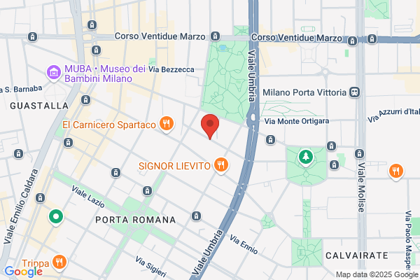 Salatino amatore