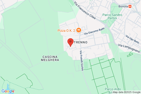Magnani manlio