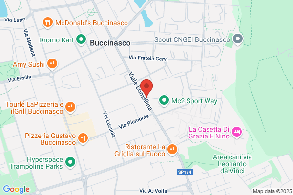 Fuji Magnetics Italia S.R.L.