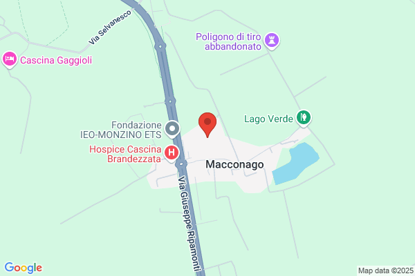 Istituto Europeo Di Oncologia S.R.L.