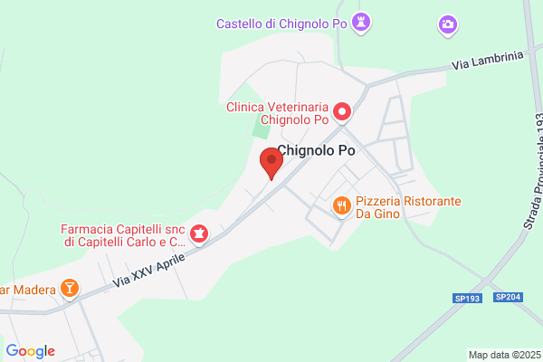 Centro Assistenza Carducci (S.N.C.)