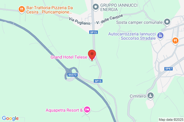 Telese leonardo