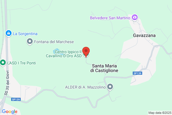 Il Cavallo Doro
