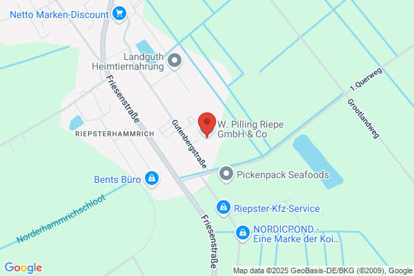 Pilling H.W. Di Hans. W. Pilling
