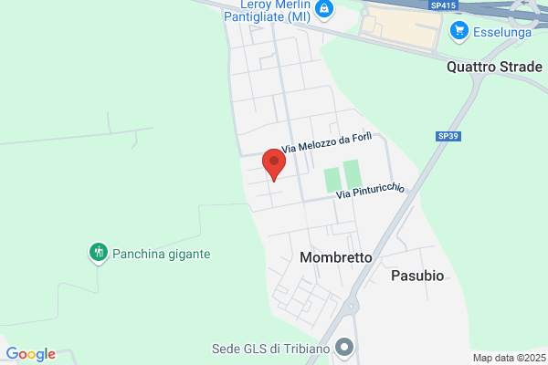 Pietrasanta mario Carlo