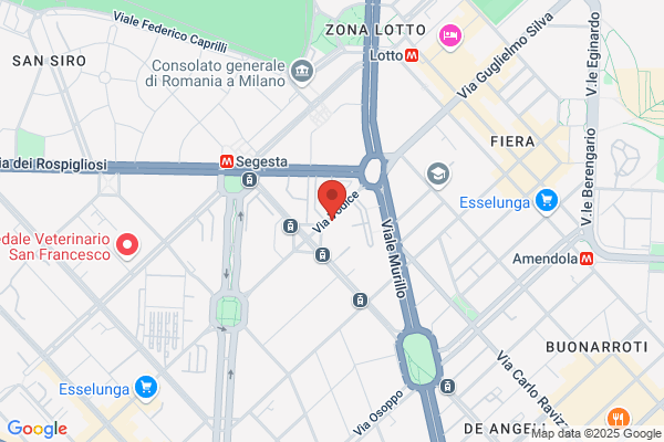 Euromodellismo R.A.F. S.R.L.