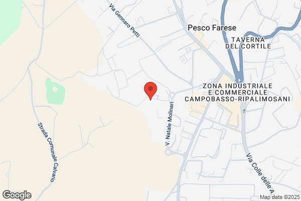 Istituto Mt D.Calderone & C.Snc