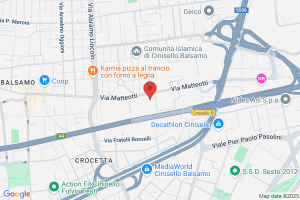 Dynisco Srl