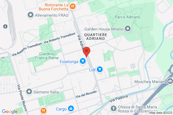 Muscolino letterio