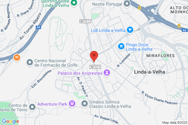 Gomes De Oliveira Ribeir Cleide