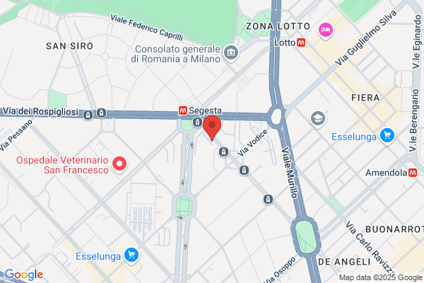 El Carbonazo Pollo alla Brace Milano