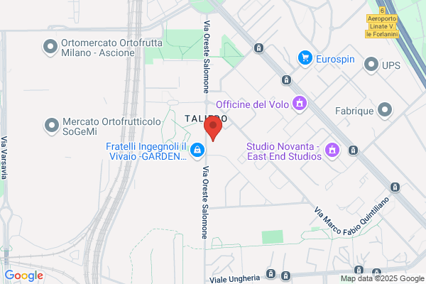 Associazione Italiana Musicisti Srl