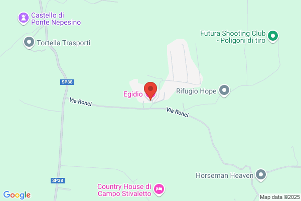 Nepi egidio