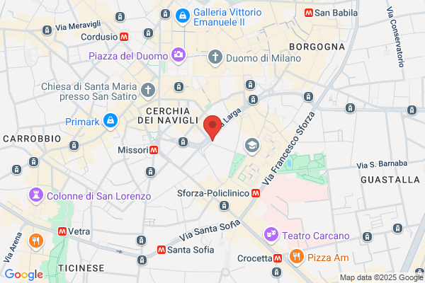 Maesina Marketing Search Italia Srl