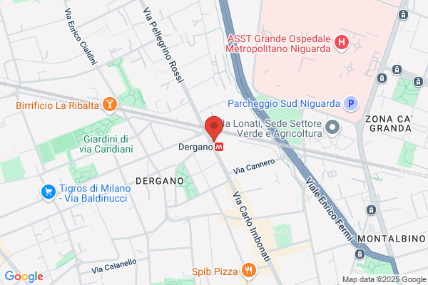 S.E.D. Societa Consortile A R.L.