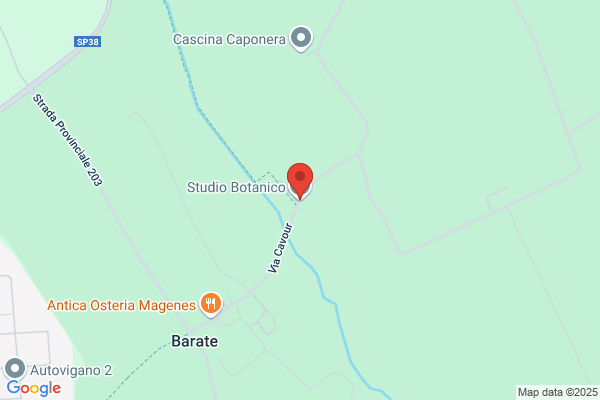 Studio Botanico