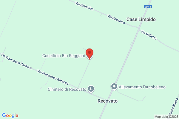 Reggiani roberto