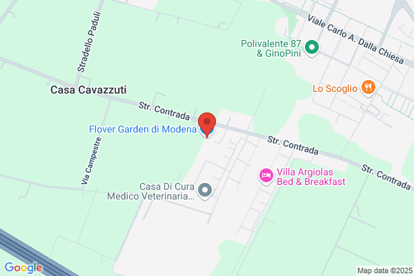 Fidaudit - Soc. Fiduciaria E Di Revisione S.R.L.