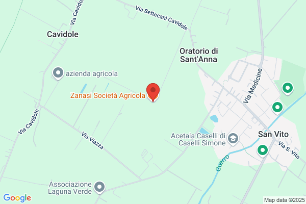 Zanasi carlo Dante