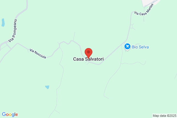 Salvatori paolo