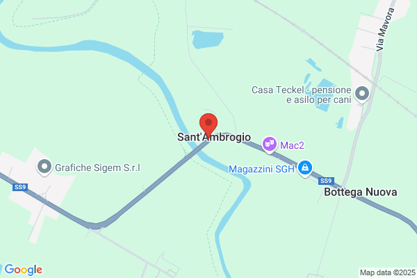 Ponte Di S.Ambrogio - S.R.L.