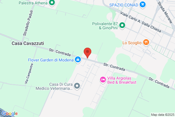 Studio Actha Dei Dr.Manicardi Cioce E Bellei-Dottori Commercialisti
