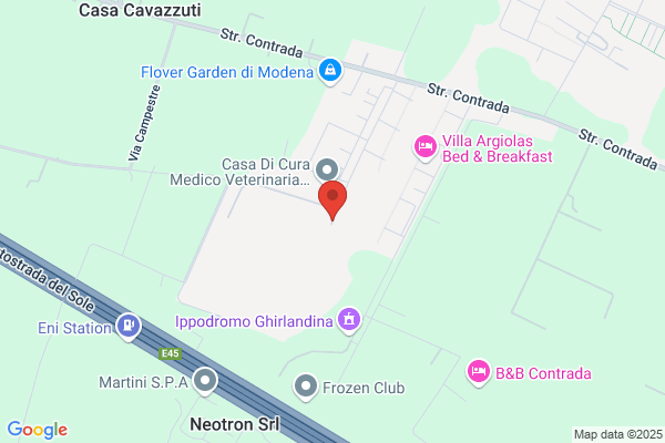 Soc.Modenese Esposizioni Fiere E Corse Cavalli Spa