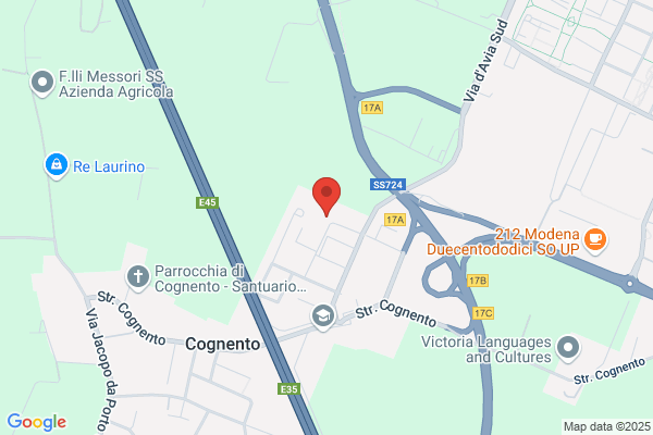 Pini Incerti Virginia