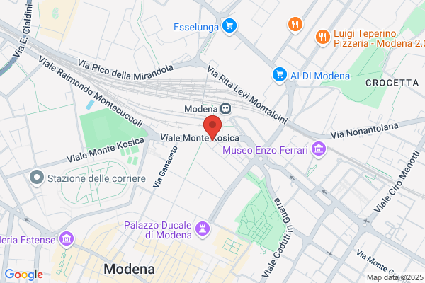 Language Services Modena (S.N.C.)