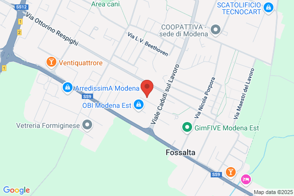 Modenpress Di Borghi Giuseppe E C. S.N.C.